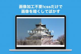 コピペで簡単】cssで親要素を無視してブラウザ幅100%で表示させる 