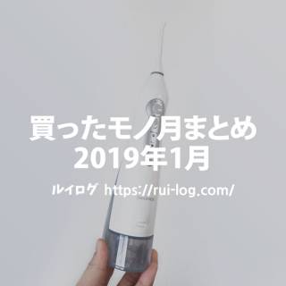ルイログが買ったモノ月まとめ2019年1月