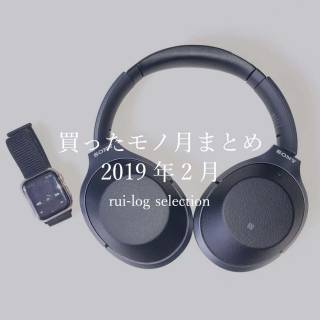 ルイログが2019年2月に買ったモノまとめ
