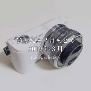 ルイログが買ったモノ月まとめ