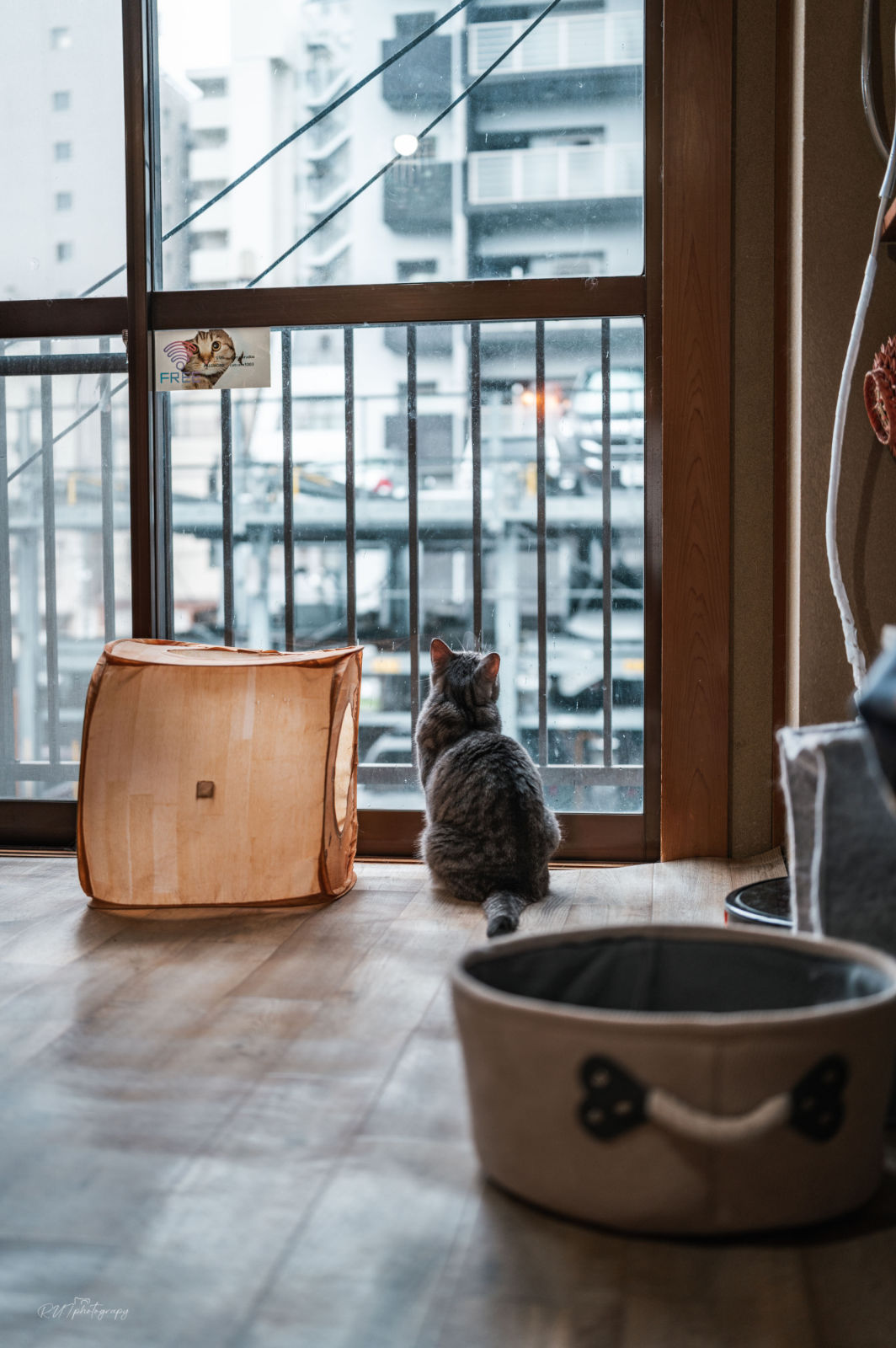 Leica Q3 43の43mmで撮影した写真の作例7